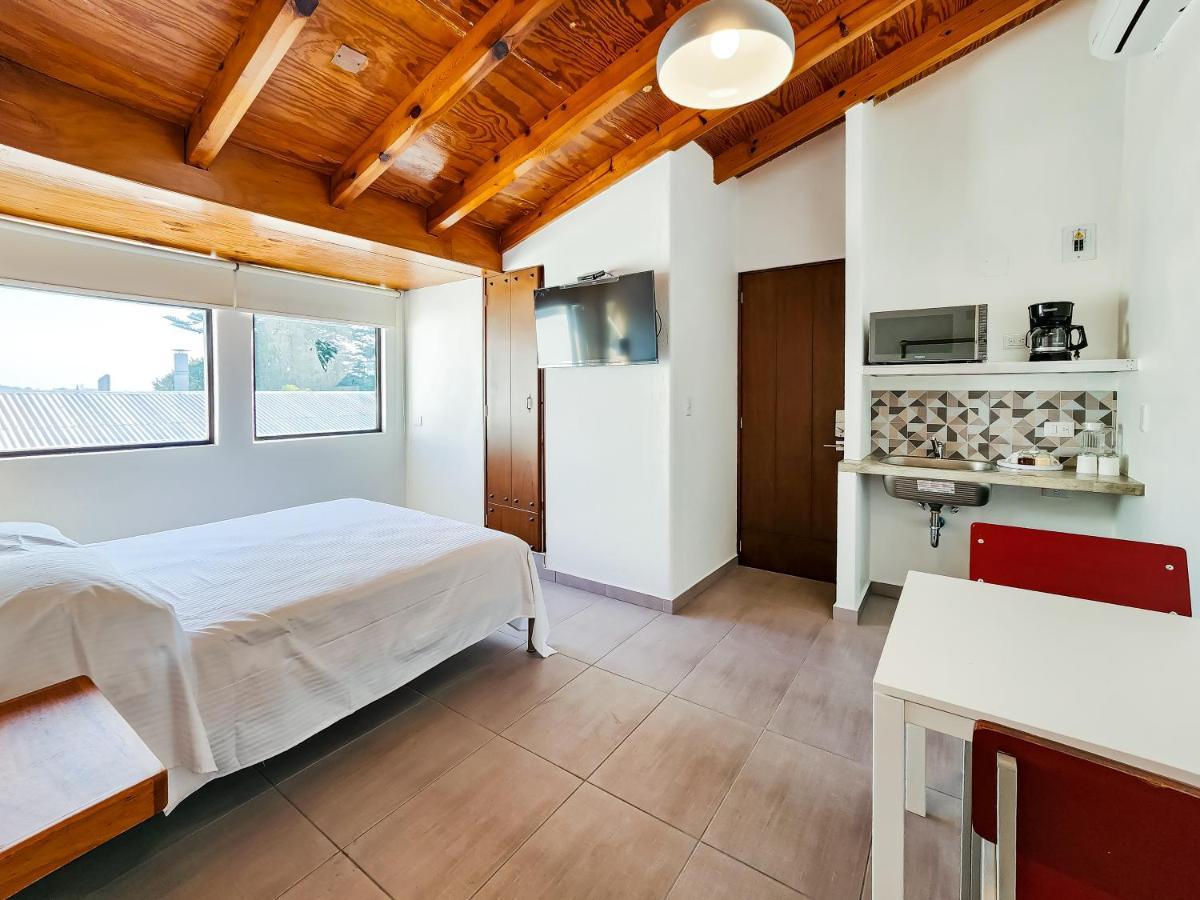 Niebla Suites Ксалапа Екстериор снимка