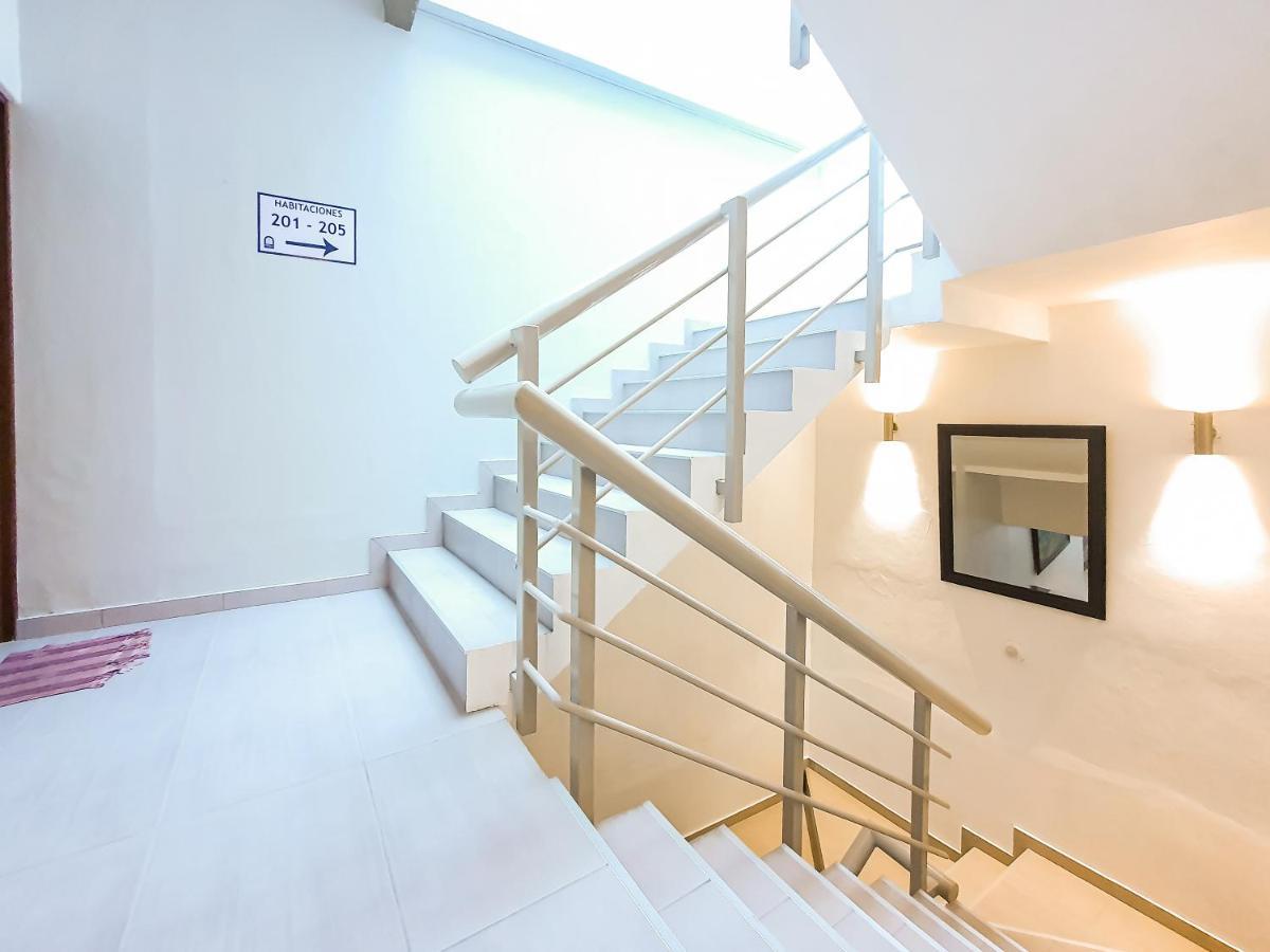 Niebla Suites Ксалапа Екстериор снимка